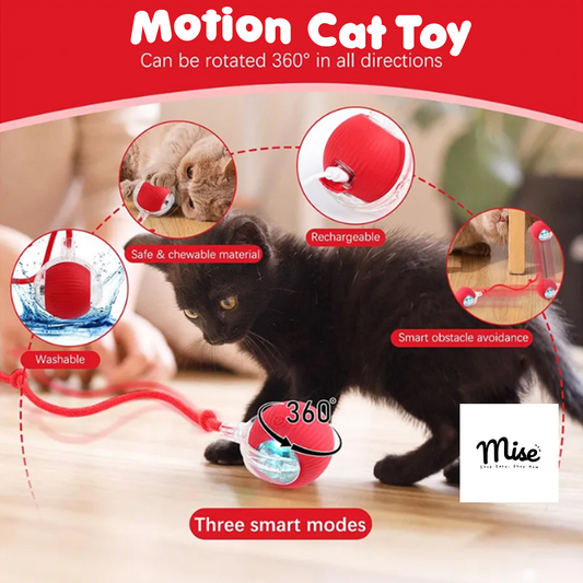 Motion Cat Toy - Perfect Companion For Your Pet